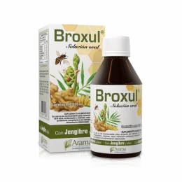 BROXUL JENGIBRE/MIEL JBE X 120 ML ARAMA