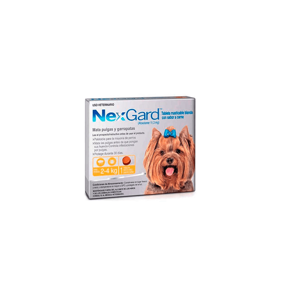 NEXGARD 2-4 KG 11,3 MG X 1 UND